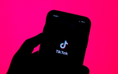 TikTok : l’Assemblée nationale dresse un réquisitoire accablant